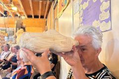 IMG-20250711-WA0125