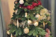 IMG-20251212-WA0104-1