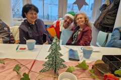 IMG-20241213-WA0046