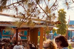 IMG-20230818-WA0006