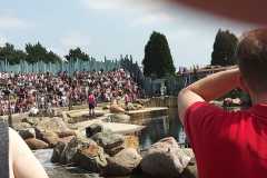 IMG-20230819-WA0076