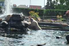 IMG-20230819-WA0096