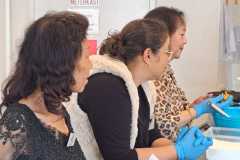 IMG-20250927-WA0009