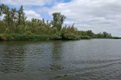 IMG-20260709-WA0012