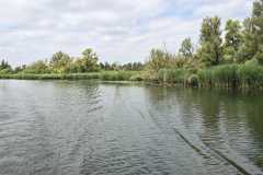 IMG-20260709-WA0143