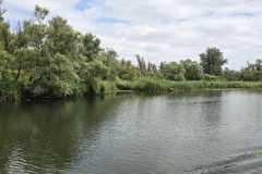 IMG-20260709-WA0144