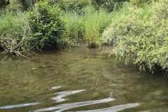 IMG-20260709-WA0145